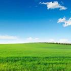 alinamd/stock.adobe.com