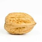 Michael Tieck/stock.adobe.com