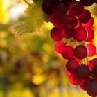 ThKatz/stock.adobe.com