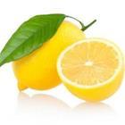 Malyshchyts Viktar/stock.adobe.com