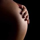 Light Impression/stock.adobe.com