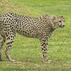 kerstiny/stock.adobe.com