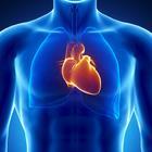 CLIPAREA.com/stock.adobe.com