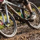 Stefan Schurr/stock.adobe.com